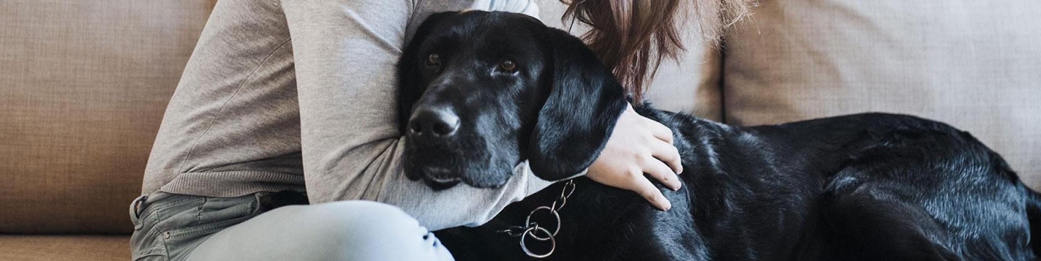 Déménagez avec votre animal de compagnie