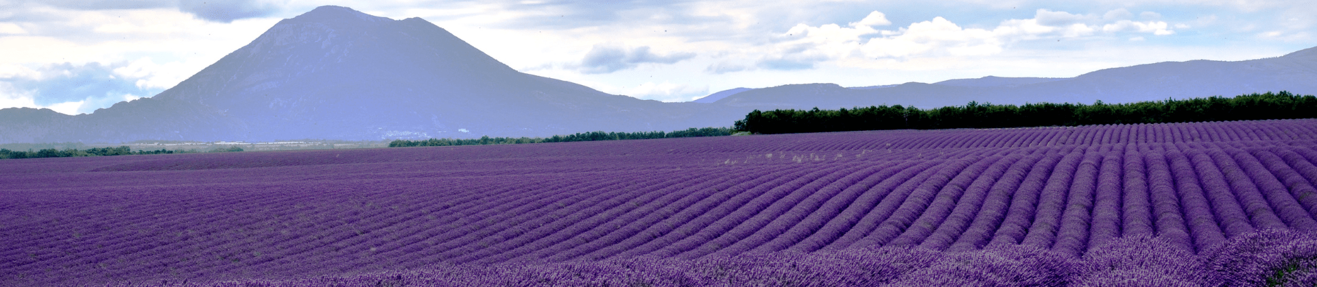 déménagement à Manosque