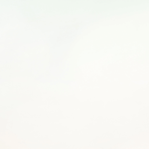 Engagement RSE demeco