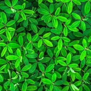 demeco, une société de déménagement engagée