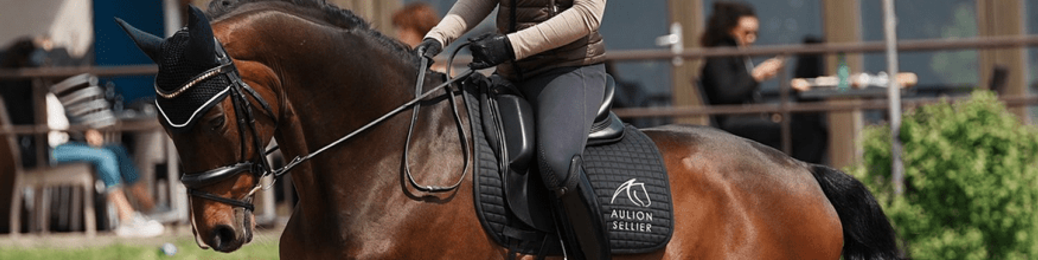 Lisa Cez, notre cavalière en route pour les qualifications !