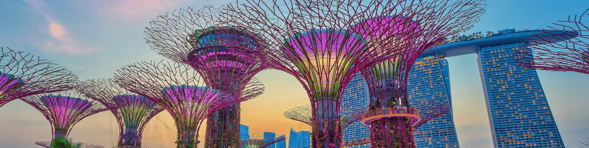 déménagement à Singapour 