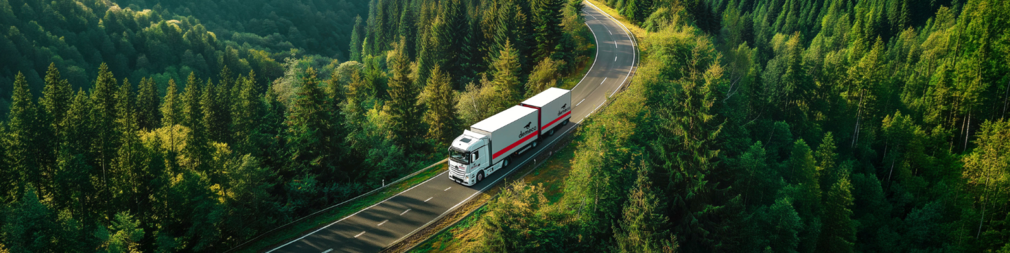 camion-demeco- forêt