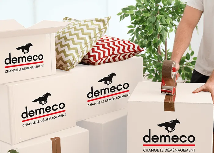 Le guide du carton de déménagement