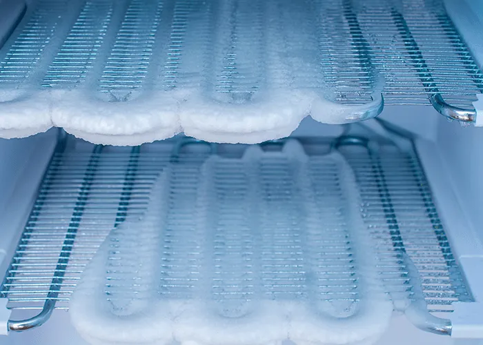 Déménagement Congélateur