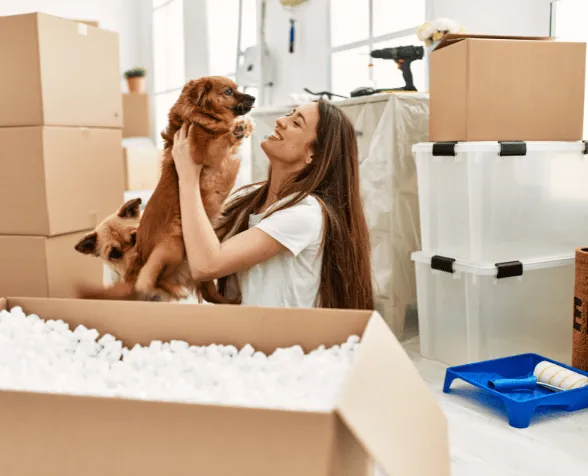 déménager avec un animal de compagnie